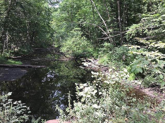 1st image of 0 Sokokis Trail N