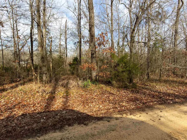 0 River Oaks Landing Cir #35, Orrville, AL 36767