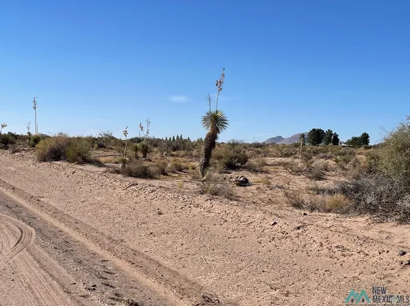 Rivera Rd SW, Deming, NM 88030