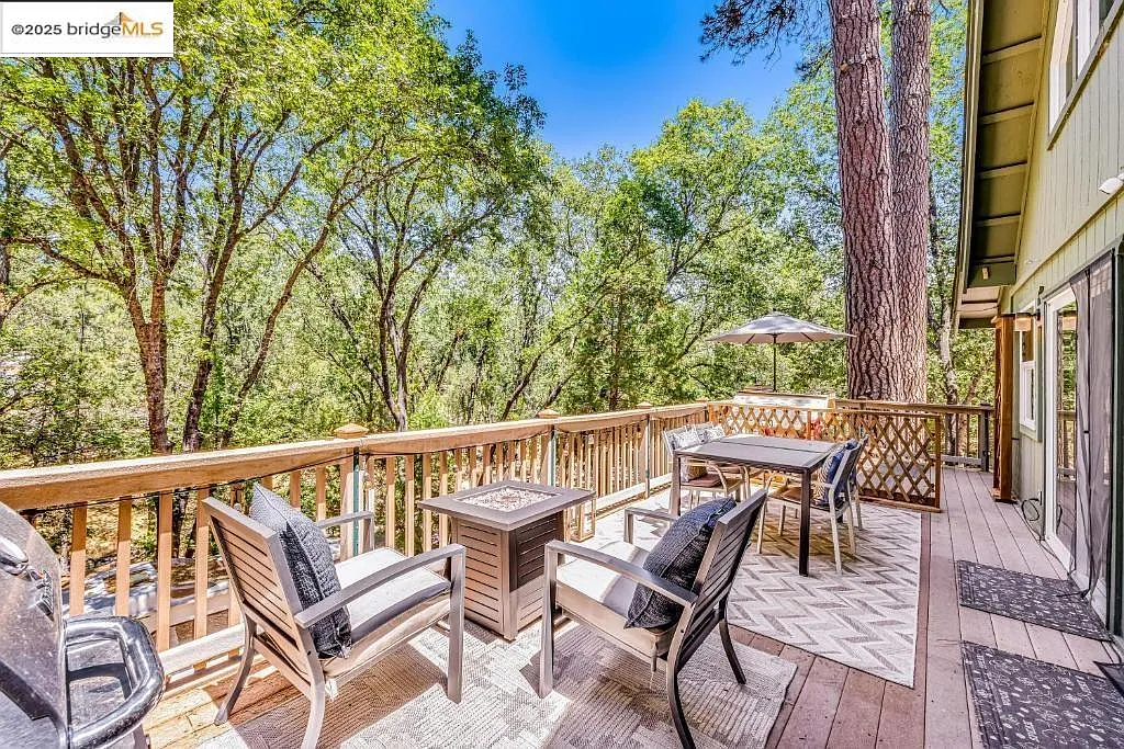 19560 Grizzly Cir photo 1