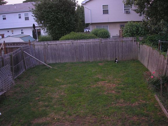 View of back yard taken from deck