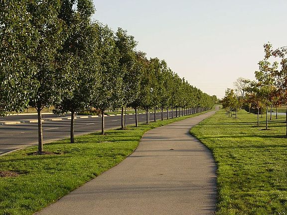 Walking Trails Throughout Neighborhood 