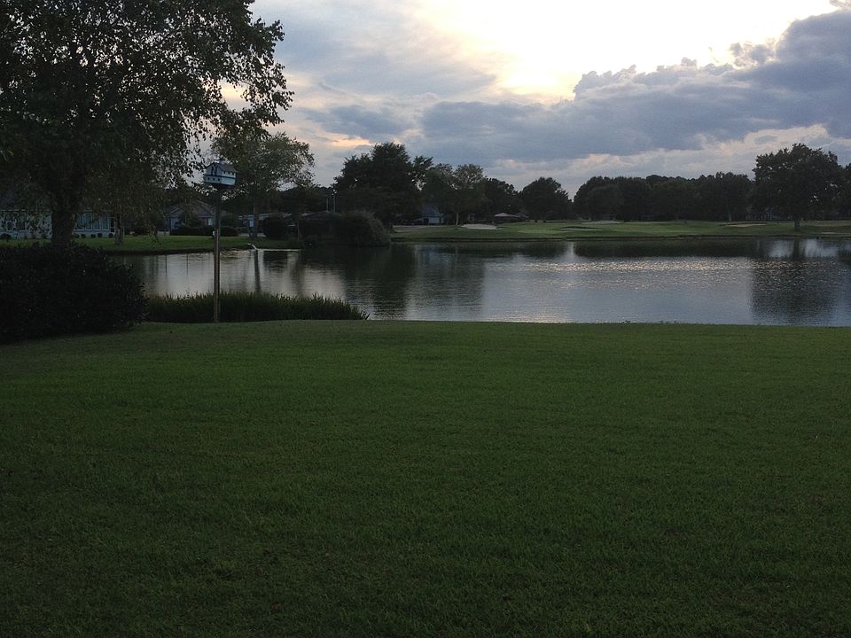 Back yard view