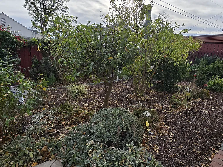 6212 Zelzah Ave — Photo 15