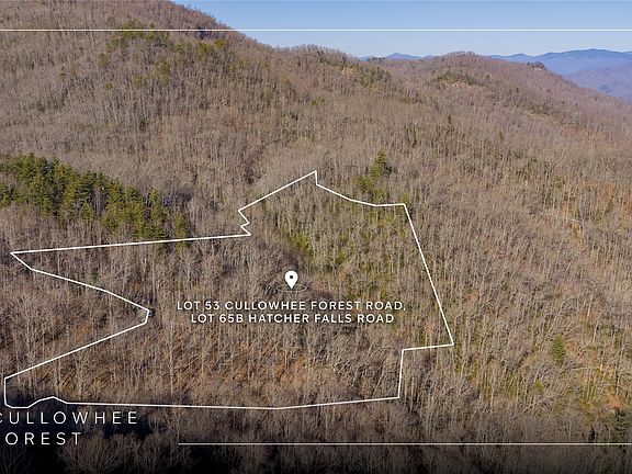 5th image of 53/65B Cullowhee Forest Road