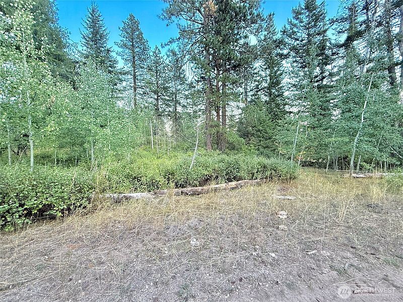 2nd image of 0 TBD Buzzard Lake Road