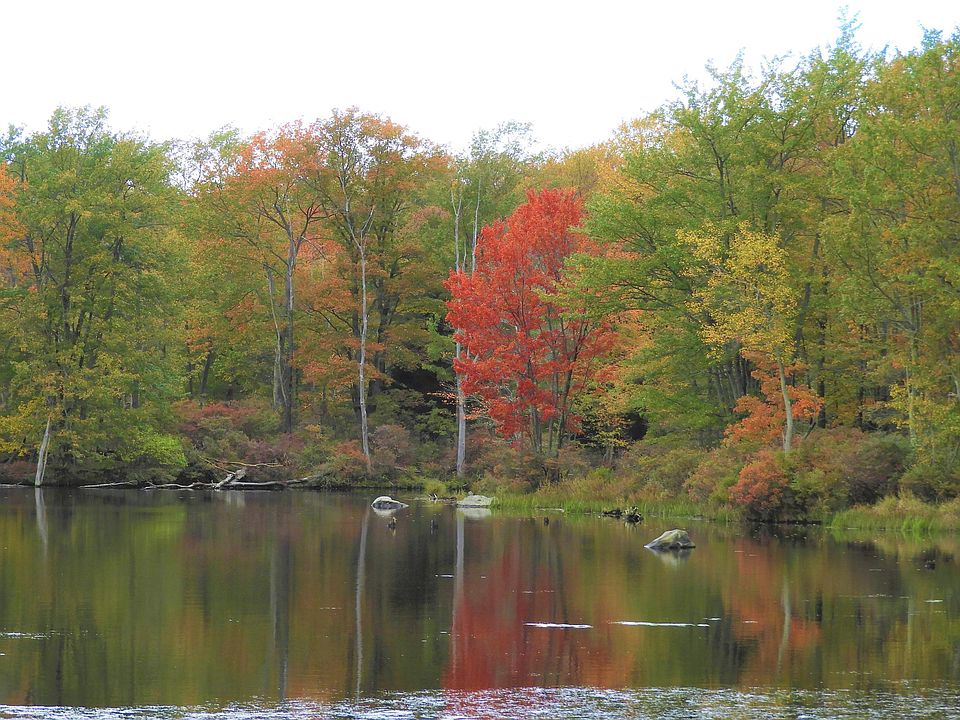 1st image of 815 Lake Dr E #F