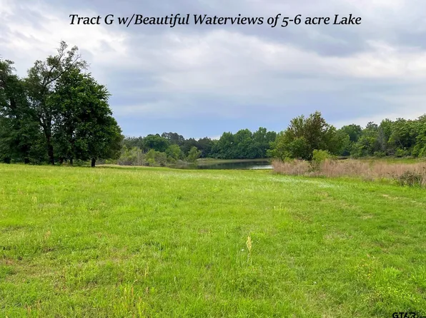 TRACT County Road 1125 #G, Tyler, TX 75704