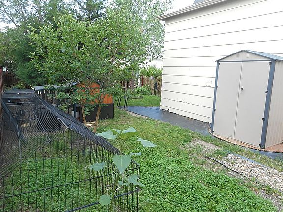 Backyard w/shed 