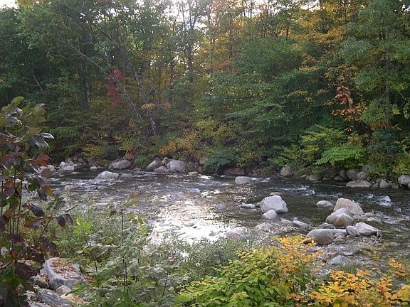 Ball Mountain Brook property line