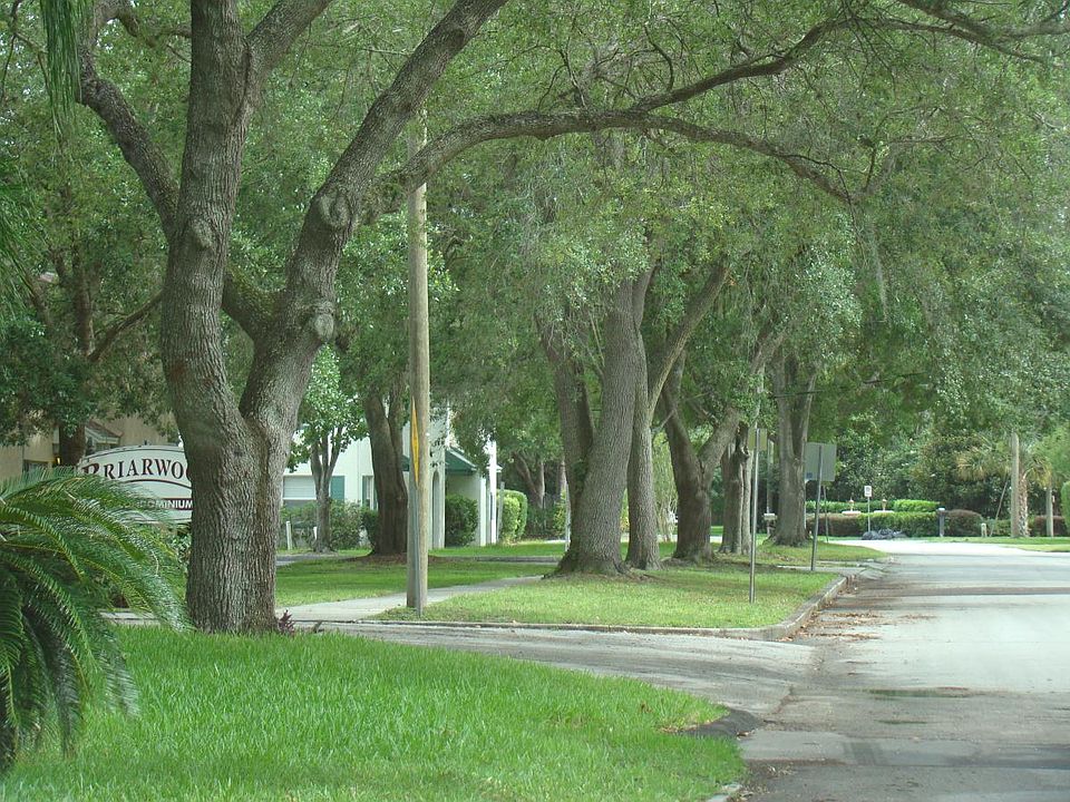 Neighborhood