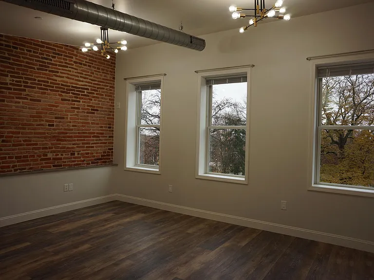 1520 Hollins St #3 — Photo 8