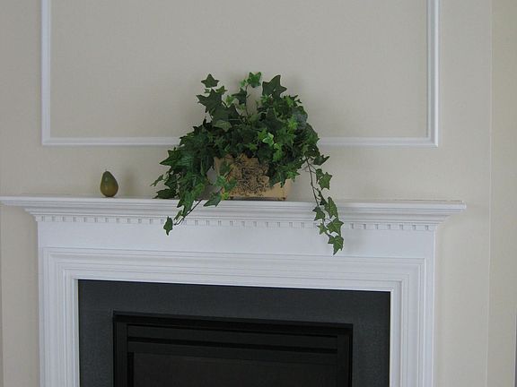Gas Fireplace-view #2