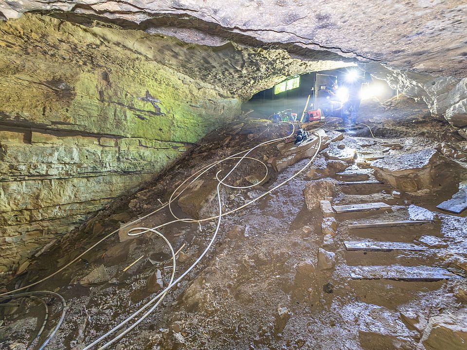 49th image of this home