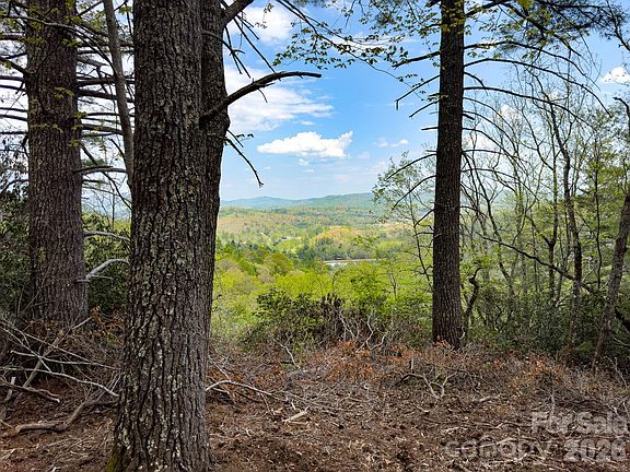 3rd image of Pine Point Rd