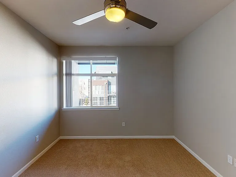 Spacious apartment bedroom with plush carpet flooring