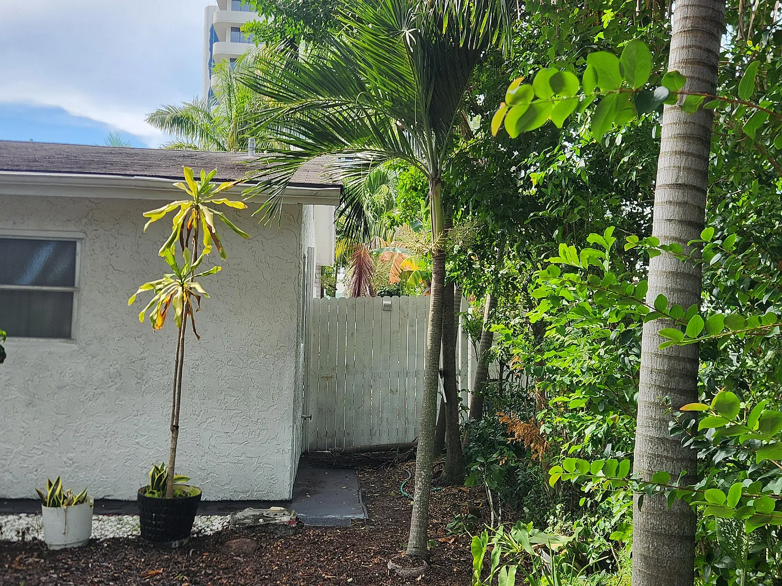 3 bed, 2.0 bath, 2063 sqft, $3,100 — Photo 4