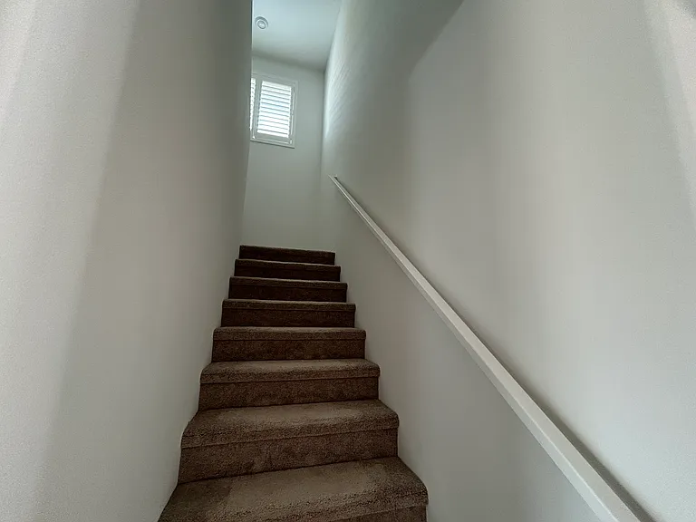 30212 Sunset Lake Cir — Photo 14