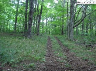 Tbd Far View Ln, Newland, NC 28657