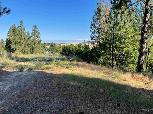 Nka Ponderosa Dr Lot 4, Potlatch, ID 83855