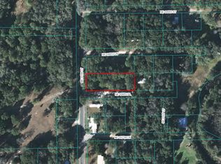3101 NE 168th Pl, Citra, FL 32113