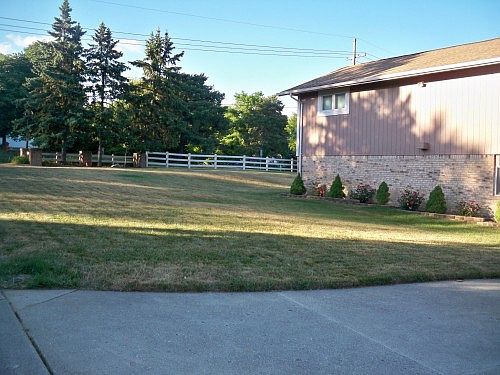 3rd image of 6202 Odessa Dr