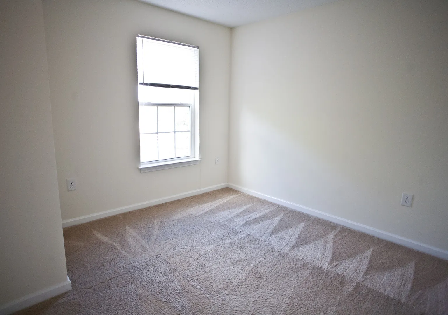 4bed/4ba right downtown! Rent includes water and electricity and one parking spot! — Photo 4