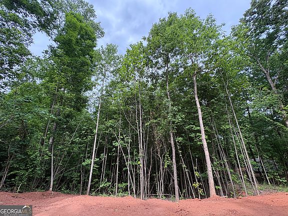 3rd image of 1018 Neal Rd
