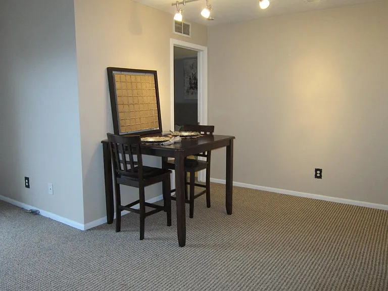 42697 Lilley Pointe Dr — Photo 12