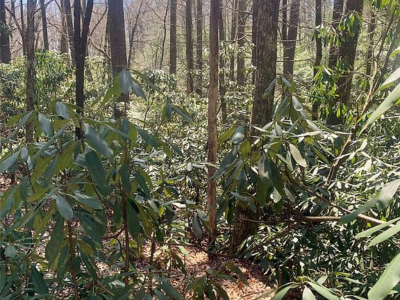 3rd image of LOT-20A Indian Lake Rd