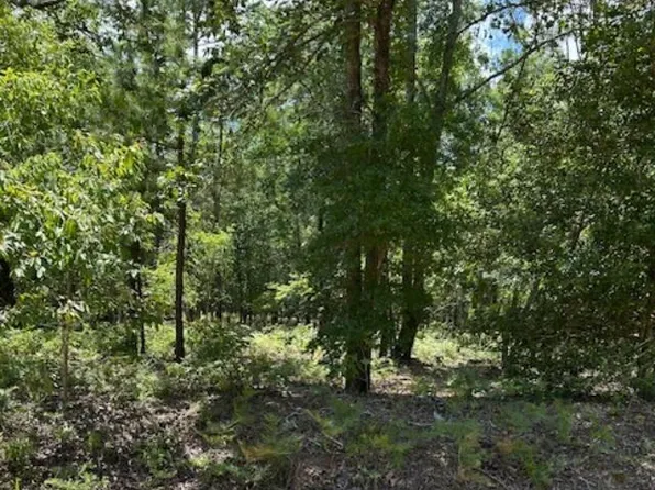 Watermelon Ln, Barnwell, SC 29812