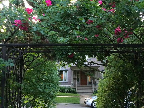 Enter through the rose arbor