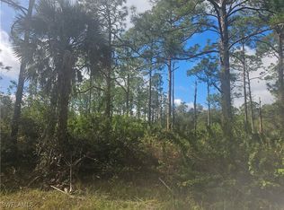 1123 Lincoln Ave, Lehigh Acres, FL 33972