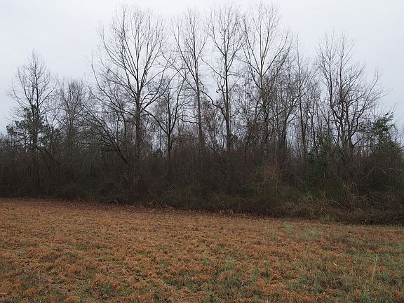 4th image of L1, L2 Callie Mills Ln