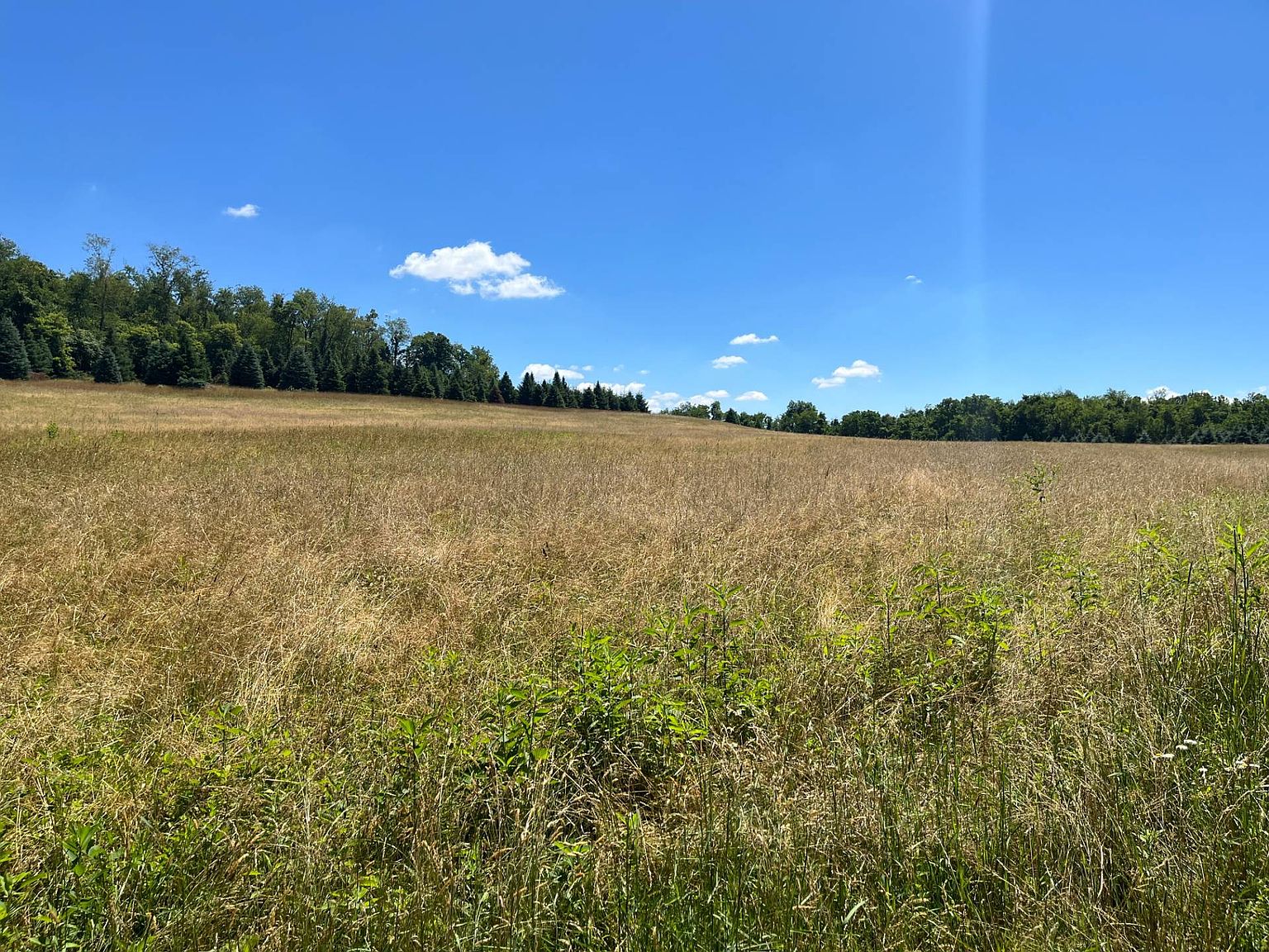 0 Skyline Dr, Saltsburg, PA 15681 Zillow