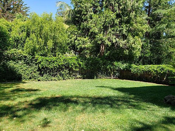 View of yard looking towards back of lot