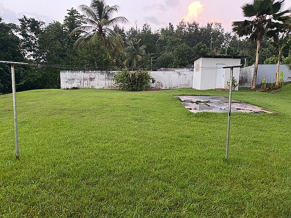 Back yard