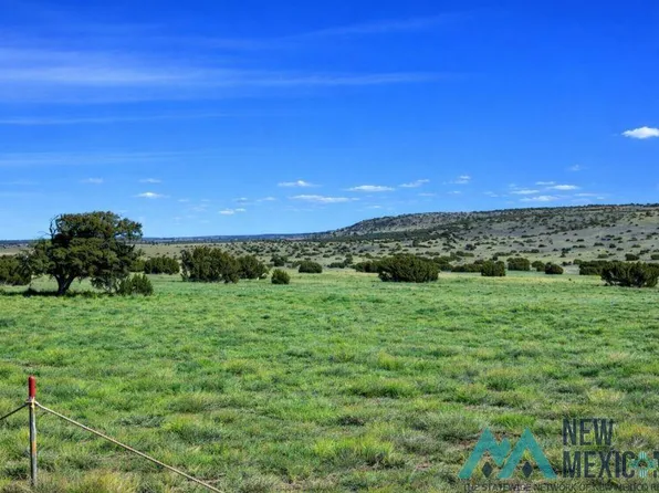 124 Deer Cir, Quemado, NM 87829