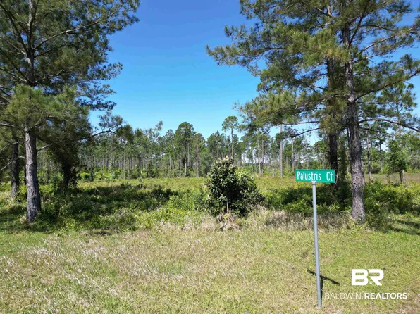 0 Palustris Ct, Elberta, AL 36530