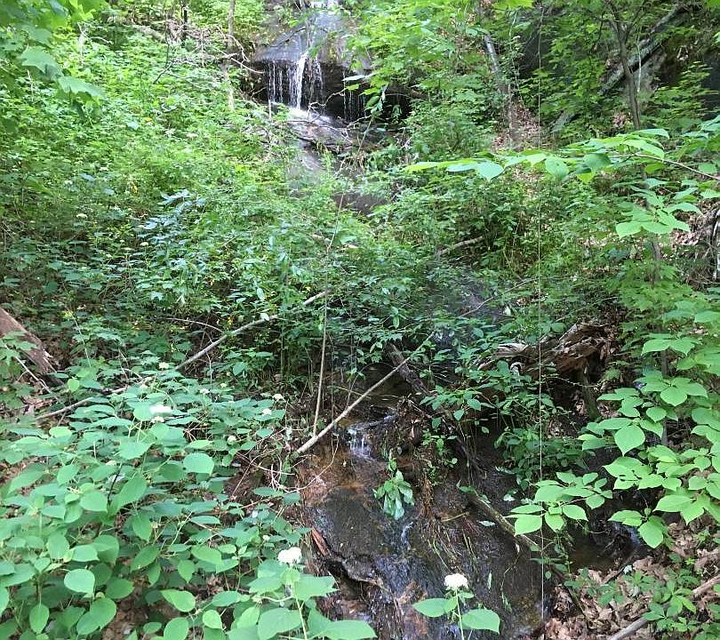 2nd image of 100 Hawk Springs Dr