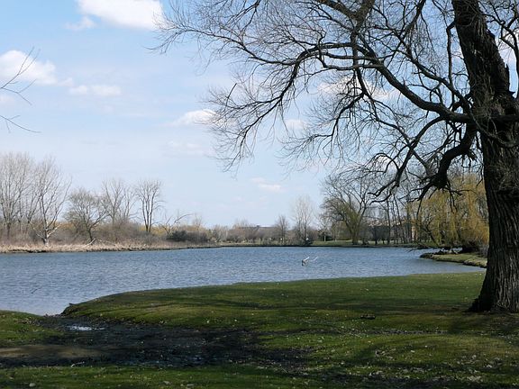 Serene Natural Beauty