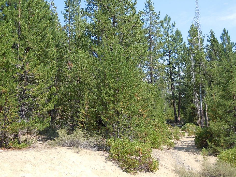 2nd image of Emerald Meadows Way