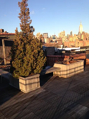 Rented by Apt 168 Inc | media 31