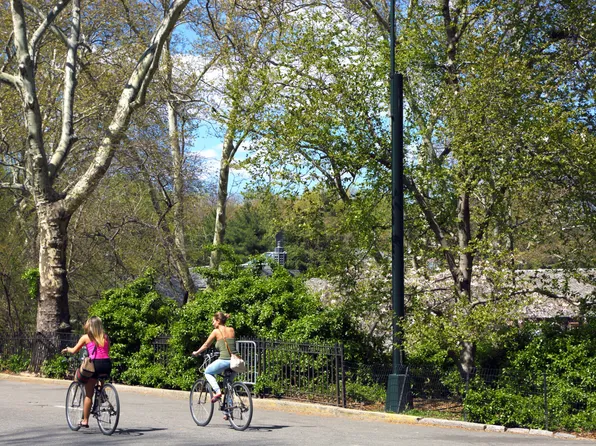 101 West 55th Street image 12 of 15