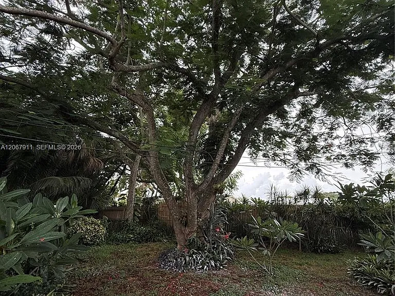 3558 Everglades Rd — Photo 14