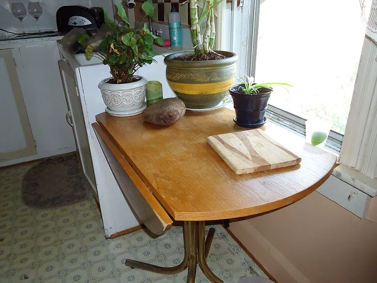 Kitchen window