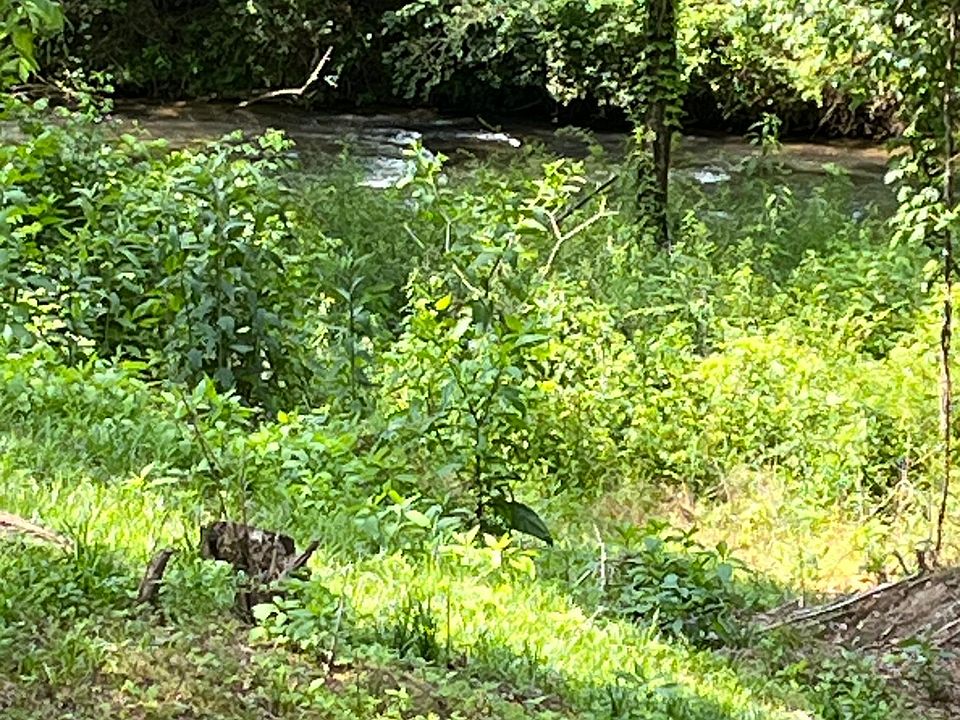 The Old Catawba River is within 100 feet of your door.