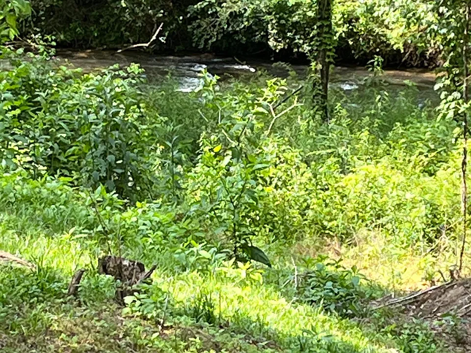 The Old Catawba River is within 100 feet of your door.