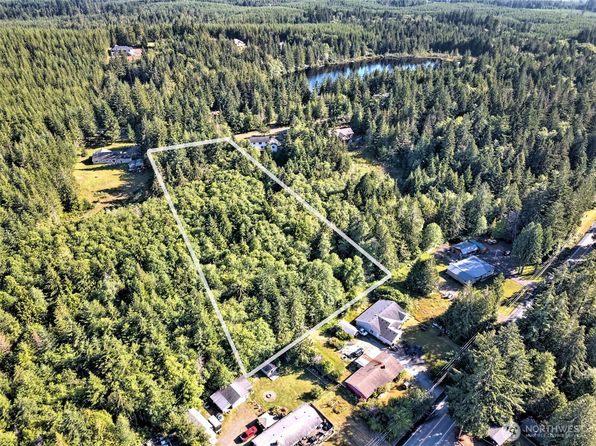221 W Little Nahwatzel Drive, Shelton, WA 98584
