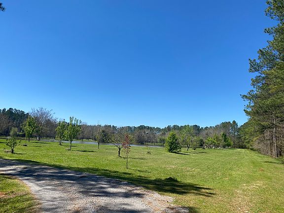 5th image of 800 Mitchell Young Rd